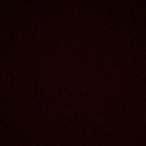 Meet your Posher, Cecilia